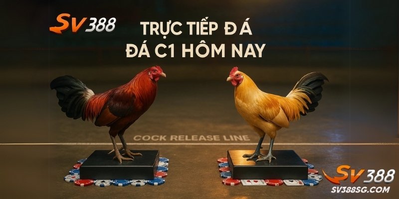 Chuẩn bị tư thế thả gà đúng cách.